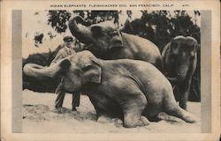 Stock #836453 Thumbnail