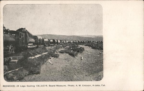 Redwood: 24 Logs Scaling 136,320 ft. Board Measure.