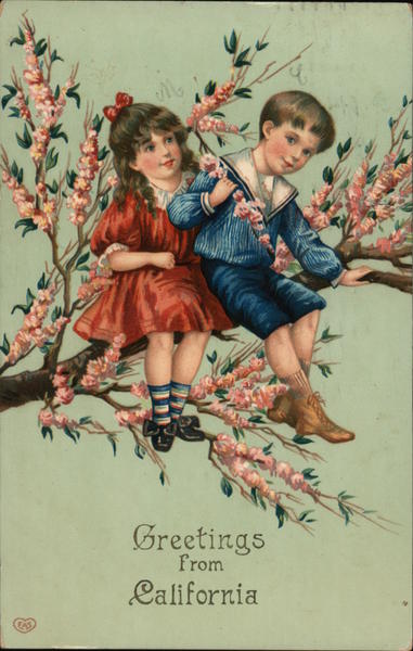 Greetings From California.