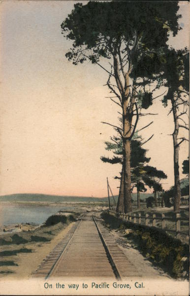 On the Way to Pacific Grove California