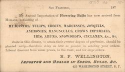 B.F. Wellington, Importer and Dealer in Seeds, Bulbs, & C. Postcard