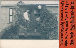Chinese Gardeners in California Postcard