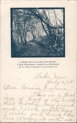 A Shady Drive on Lake View Ranch, A first class Resort, Santa Cruz Mountains, W.O. Post, Proprietor Postcard