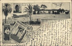 Views of San Diego Mission Postcard