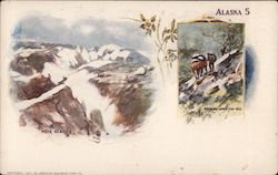 Muir Glacier, Packing Over the Hill Postcard