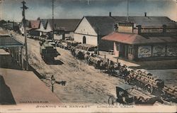 Storing the Harvest Postcard