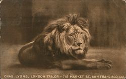 Stock #842985 Thumbnail