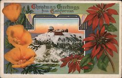 Christmas Greetings from California - Lick Observatory Postcard