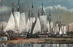 Drying Sails Postcard