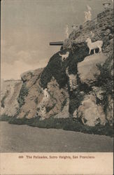 The Palisades Postcard