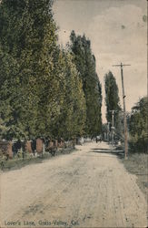 Lover's Lane Postcard