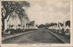 Mushroomed Tents, Camp Fremont Palo Alto, CA Postcard Postcard Postcard