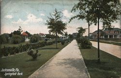 Springfield Park Postcard