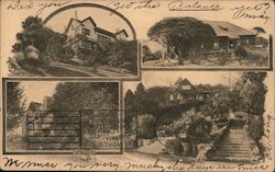 Views of California Houses Postcard