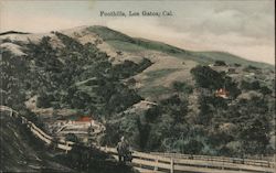 Foothills Postcard