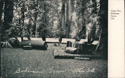 Camp Fire, Bohemian Grove Postcard