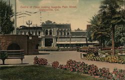 Centre of Plaza looking towards Main Street Postcard