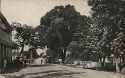 Street Scene Postcard
