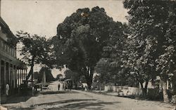 Street Scene San Lorenzo, CA Postcard Postcard Postcard