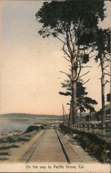 On the Way to Pacific Grove Postcard