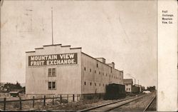 Fruit Exchange Mountain View, CA Postcard Postcard Postcard