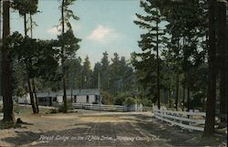 Forest Lodge, 17 Mile Drive Postcard