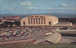 Cow Palace - Site of 1956 Republican National Convention Postcard