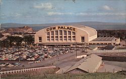 Cow Palace Postcard