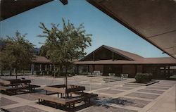The Sequoias Postcard
