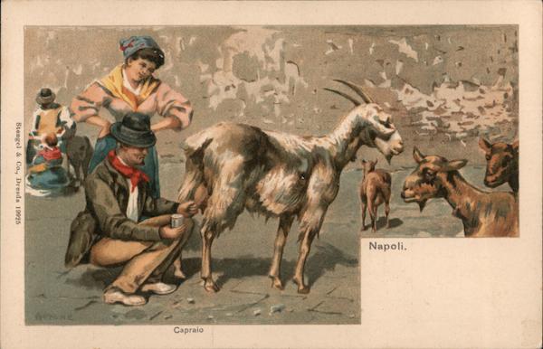 Capraio, Napoli Naples Italy