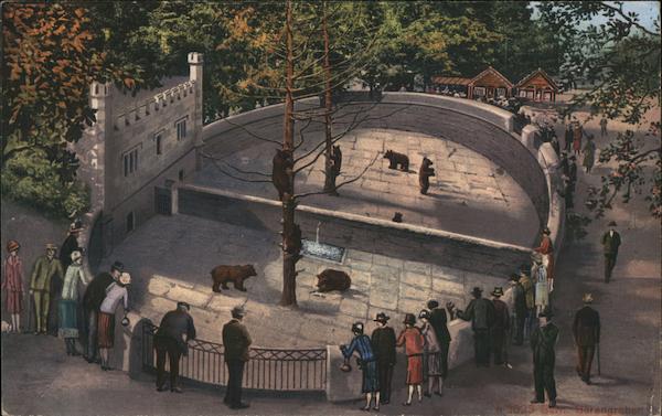 La Fosse Aux Ours Berne Switzerland