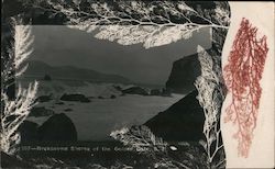 Beckbound Shores of the Golden Gate Postcard