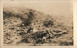 Remains of the Hun Trench, Flanders Front. Postcard