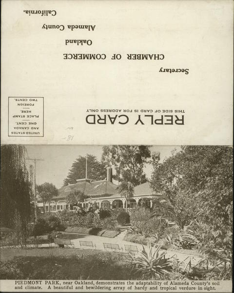 Tropical plants and Building at Piedmont Park Oakland California