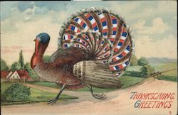 Thanksgiving Greetings Postcard