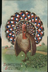Thanksgiving Greetings Postcard