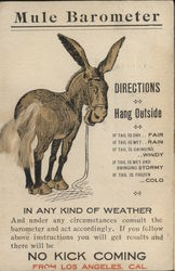 Mule Barometer Postcard