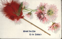 Would you like to be tickled? Postcard