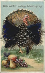 Best Wishes for a happy Thanksgiving Postcard