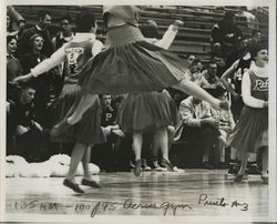 1950's Cheerleaders During The Half Time, Basketball Photographs & Snapshots Allan de Lay Original Photograph Original Photograp Original Photograph