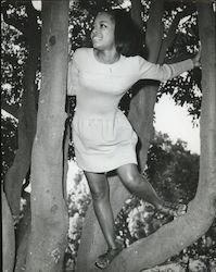 Pretty Young Woman Climbing a Tree Original Photograph