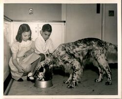 Boy and Girl Feeding Dog Original Photograph