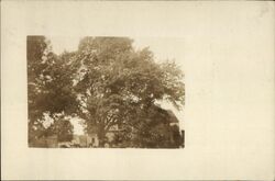 Rural Scene Postcard