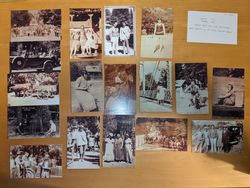 Lot of 125 Rio Nido Guerneville REPRODUCTION cards photos Postcard