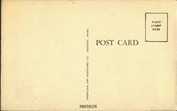back