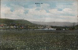 View of Mifflin Postcard
