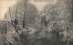 Lehigh River Postcard