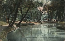 Looking Towards the Boat House, Paxtang Park Postcard