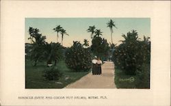 Hibiscus Date and Cocoa Nut Palms Postcard