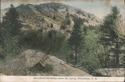 Monadnock Mountain above the Spring Postcard